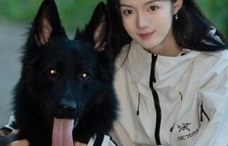 这“www.51.com”网址，犹如人生百态，逛一逛就觉得自己算是经历了一场大冒险！