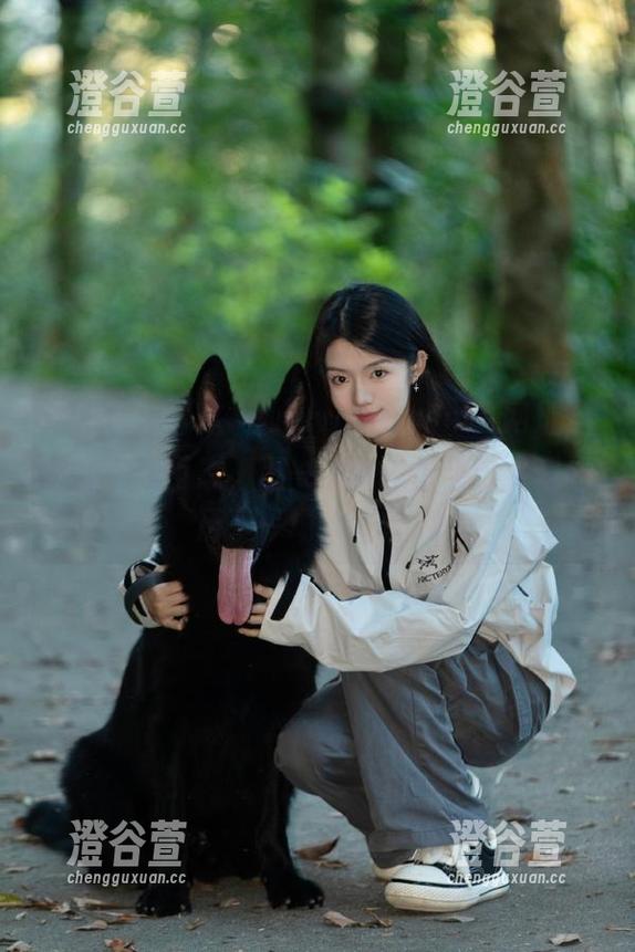 这“www.51.com”网址，犹如人生百态，逛一逛就觉得自己算是经历了一场大冒险！