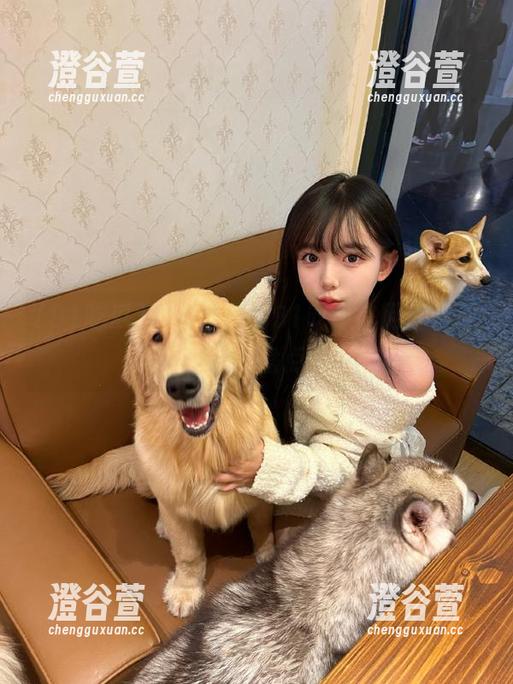 火力全开，91吃瓜官网的资源聚合盘点