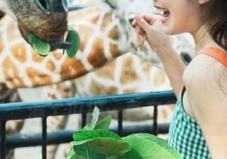 www吃瓜网.top发布了最新的花边新闻，嘴巴喔，一口气都被塞满了瓜皮…真有趣！