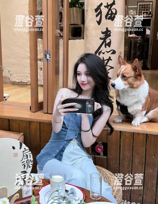 629吃瓜网上的奇葩线路，登录验证把每个人当成了疑犯？
