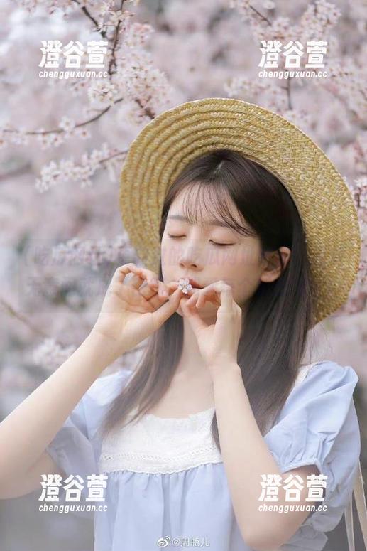 更新过的吃瓜网址导航，感觉无意间就成了密探，知悉每个瓜的方位！