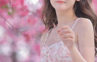 让你又爱又恨的“明星黑料”网站，直达你的八卦夹心饼干。