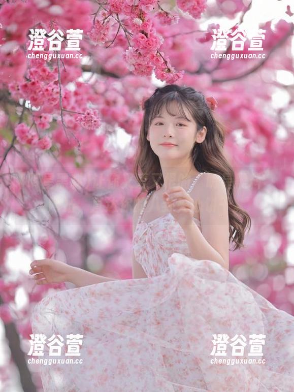 让你又爱又恨的“明星黑料”网站，直达你的八卦夹心饼干。