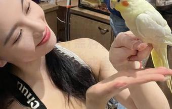 每次打开黑料社的app在线，心情一下被种草…或者是被草了？