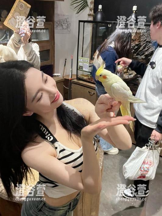 每次打开黑料社的app在线，心情一下被种草…或者是被草了？